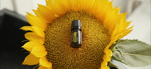 How to Choose the Right Essential Oil to Feel Refreshed & Uplifted