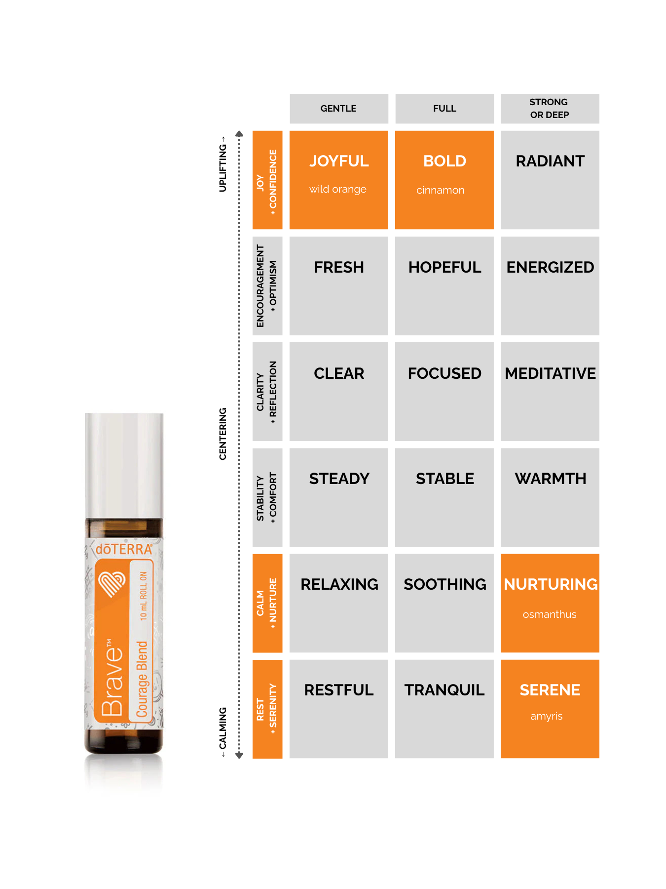Brave® Courage Blend – Kids Collection Roll-On