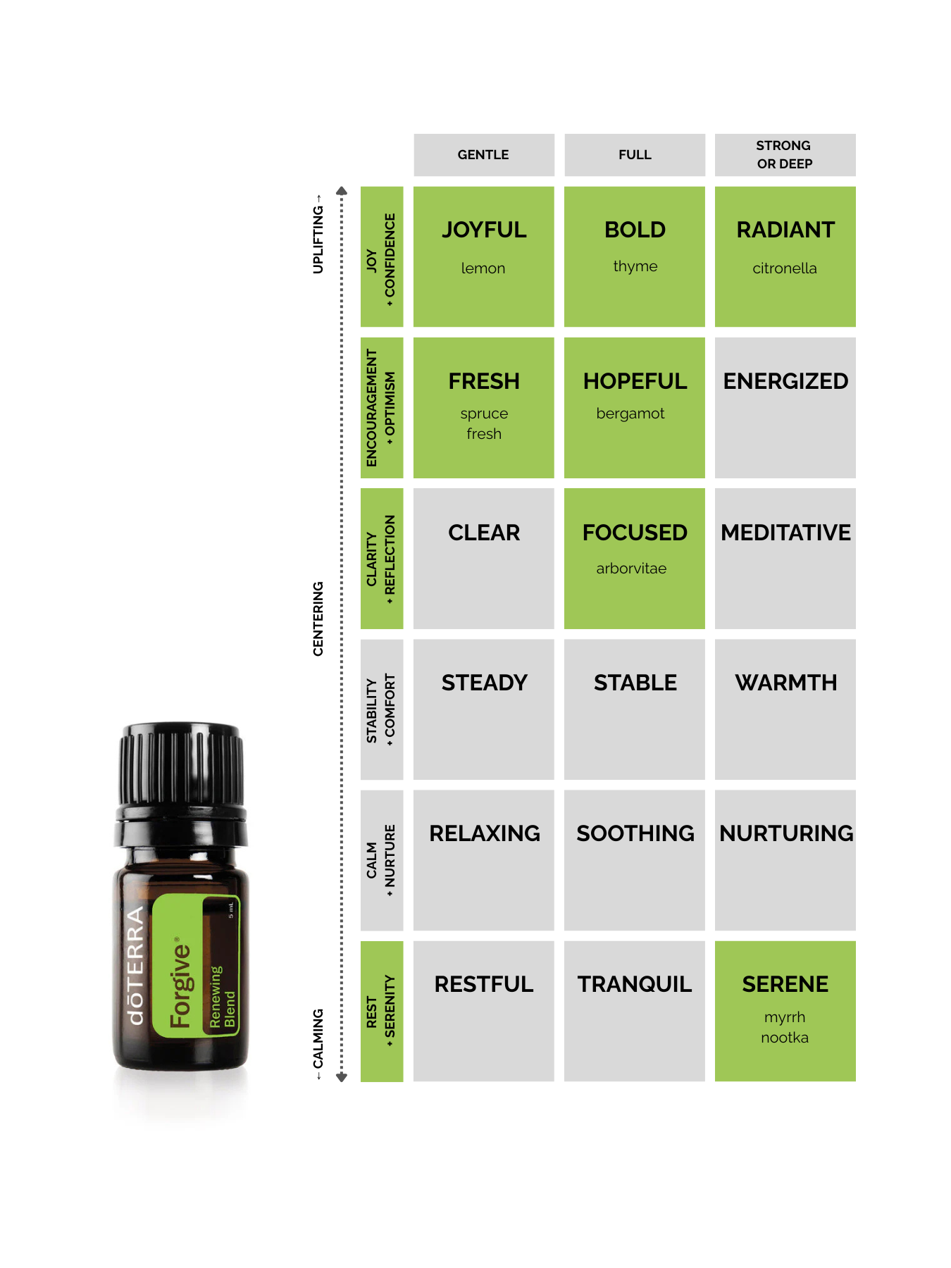 Forgive® Renewing Blend